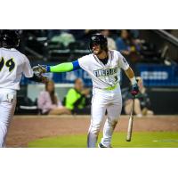 Columbia Fireflies' Blake Mitchell congratulated by Lizandro Rodriguez