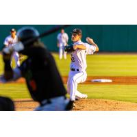 Charleston RiverDogs' T.J. Nichols in action