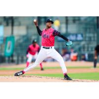 Columbia Fireflies' Felix Arronde on the mound