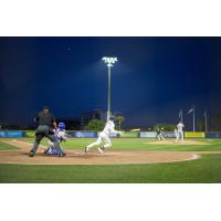 Pensacola Blue Wahoos in action