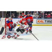 Moose Jaw Warriors' Jagger Firkus in action