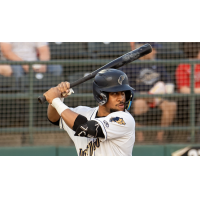 Tri-City Dust Devils at bat