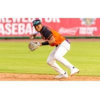 Charleston RiverDogs' Santiago Suarez on the mound