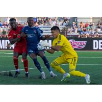 Phoenix Rising FC's Rocco Rios Novo in action