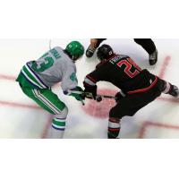 Florida Everblades' Matthew Wedman versus Adirondack Thunder's T.J. Friedmann