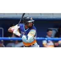 Montgomery Biscuits at bat