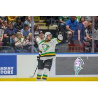 London Knights react after a goal