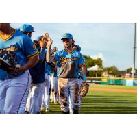 Montgomery Biscuits exchange high fives after a win