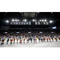 Milwaukee Admirals and Grand Rapids Griffins on game night