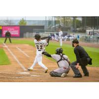 Tri-City Dust Devils outfielder Jadiel Sanchez takes a swing