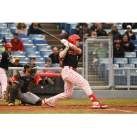 Ottawa Titans' Jake Sanford at bat