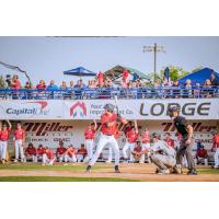 St. Cloud Rox' Sawyer Smith at bat