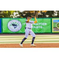 Charleston RiverDogs on game night