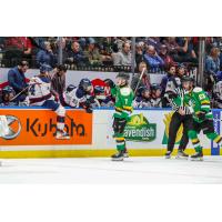 London Knights' Easton Cowan on game night