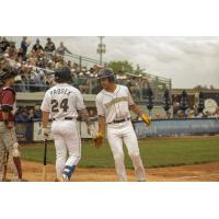 Drew Prosek of the Fond du Lac Dock Spiders heads up to bat