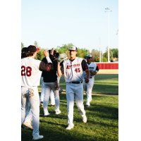 Wisconsin Rapids Rafters' Arnad Mulamekic congratulates team