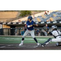 Lincoln Saltdogs at bat