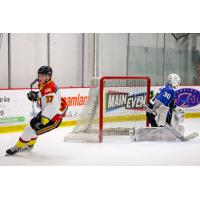 New Mexico Ice Wolves forward Ryan Seelinger