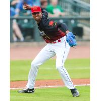 Columbia Fireflies' Felix Arronde on the mound