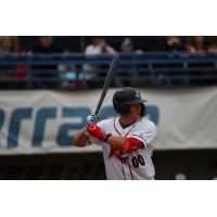 St. Cloud Rox' Jackson Hauge at bat