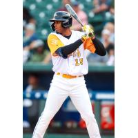 Erick Pena of the Columbia Fireflies