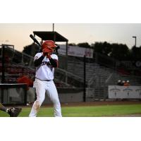 Sioux City Explorers' Ozzie Martinez at bat