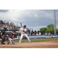 Fond du Lac Dock Spiders' Donavan Canterberry at bat