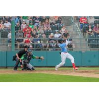 Tri-City Dust Devils designated hitter Cam Williams