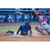 Tampa Tarpons and the Fort Myers Mighty Mussels in action