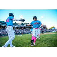 Somerset Patriots' MRyan Anderson congratulates Anthony Seigler