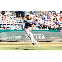 Charleston RiverDogs in the field