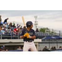 Drew Barragan at bat for the Fond du Lac Dock Spiders