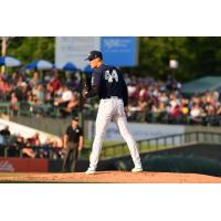 Somerset Patriots' ailey Dees on the mound