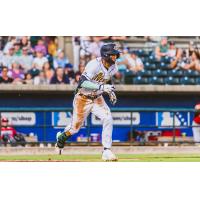 Charleston RiverDogs in action