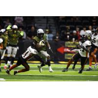 San Diego Strike Force battle the Arizona Rattlers