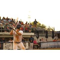 Fond du Lac Dock Spiders' Parker Knoll at bat