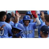 Lake Country DockHounds exchange high fives in the dugout