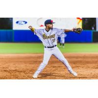 Charleston RiverDogs second baseman Elis Barreat