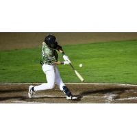 Biloxi Shuckers' Eric Brown Jr. at bat