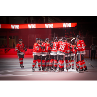 Rockford IceHogs gather on the ice after a victory