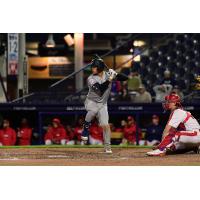 Somerset Patriots' JC Escarra at bat