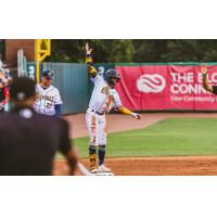 Charleston RiverDogs on game night