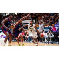 Niagara River Lions' Omari Moore in action