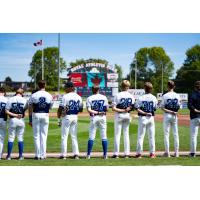 Victoria HarbourCats on game day