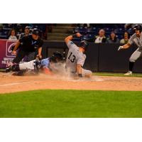 Somerset Patriots' Grant Richardson on game night