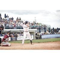 Fond du Lac Dock Spiders' Kelsen Johnson at bat