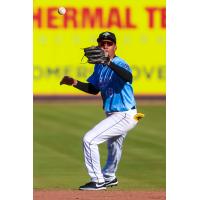 Columbia Fireflies' BLizandro Rodriguez in action