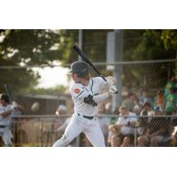 Evan Bottone at bat for the Royal Oak Leprechauns