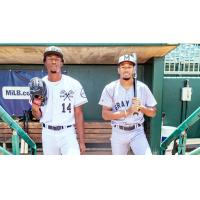 Montgomery Biscuits in their Montgomery Gray Sox uniforms