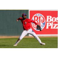 Winnipeg Goldeyes in action